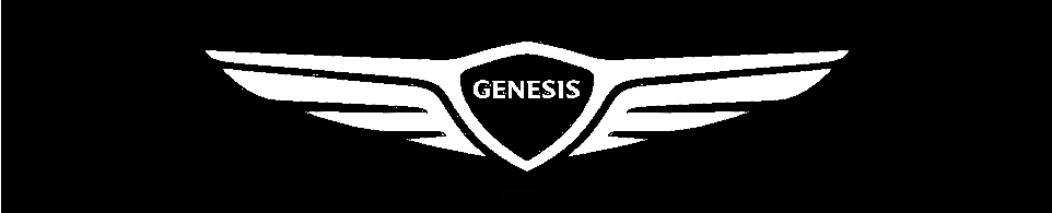 chiptuning Genesis